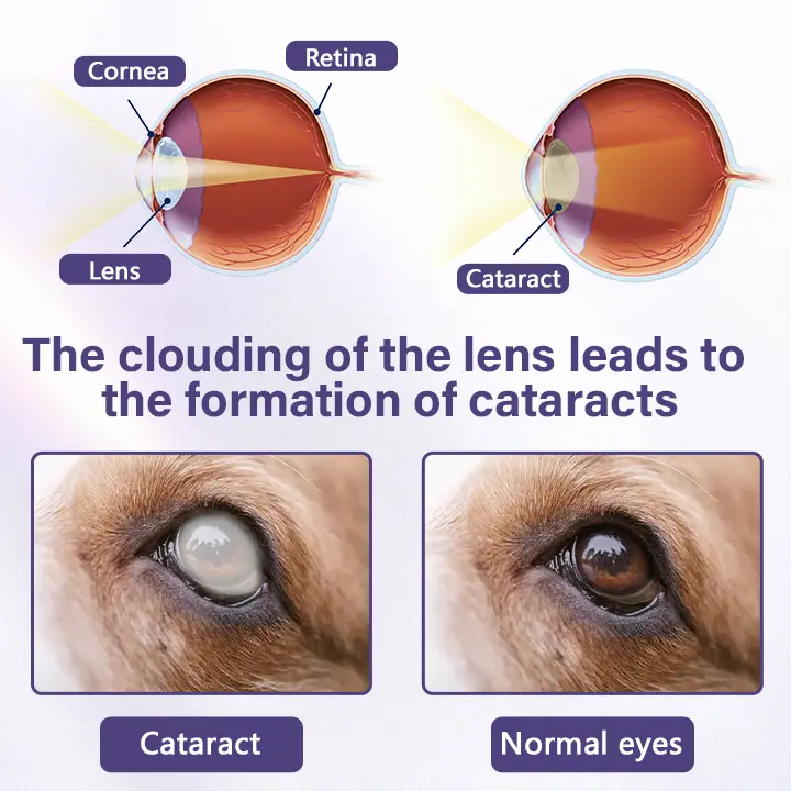 Timilk® NanoCare Pet Eye Drops