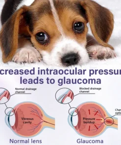 Timilk® NanoCare Pet Eye Drops