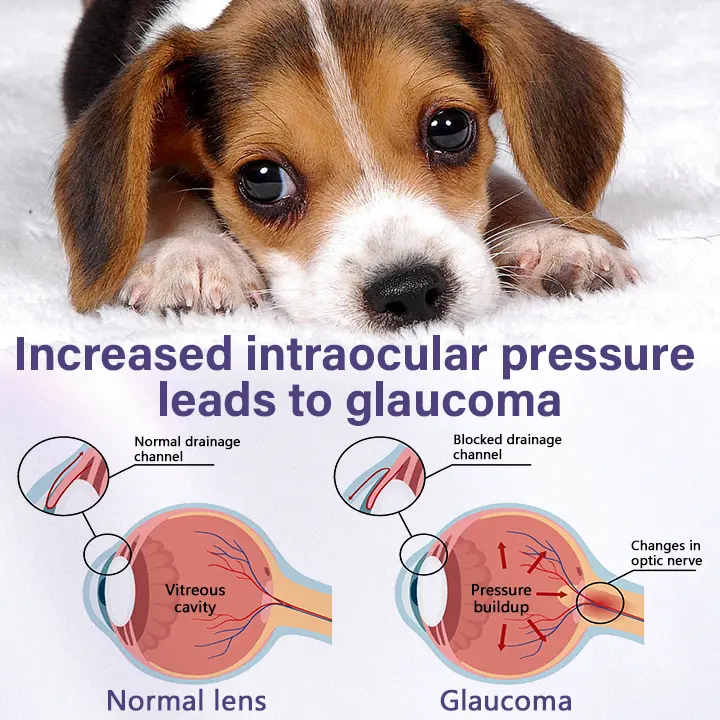 Timilk® NanoCare Pet Eye Drops