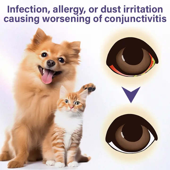 Timilk® NanoCare Pet Eye Drops