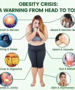 𝑻𝒊𝒎𝒊𝒍𝒌® 𝑴𝒐𝒓𝒊𝒏𝒈𝒂 · 𝑩𝒆𝒓𝒃𝒆𝒓𝒊𝒏𝒆 + 𝑵𝑨𝑫+ 10-𝒊𝒏-1 𝑵𝒂𝒏𝒐 𝑴𝒊𝒄𝒓𝒐𝒏𝒆𝒆𝒅𝒍𝒆 𝑷𝒂𝒕𝒄𝒉