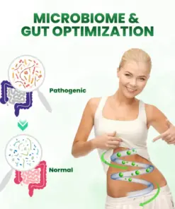 Timilk® SculptAura Moringa • Berberin + NAD+ 10-in-1 Nano-Microneedle-Patch