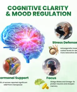 Timilk® SculptAura Moringa • Berberin + NAD+ 10-in-1 Nano-Microneedle-Patch