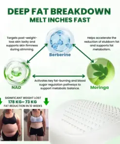 Timilk® SculptAura Moringa • Berberin + NAD+ 10-in-1 Nano-Microneedle-Patch