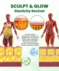 Timilk® SculptAura Moringa • Berberin + NAD+ 10-in-1 Nano-Microneedle-Patch