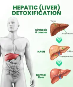 Timilk® SculptAura Moringa • Berberin + NAD+ 10-in-1 Nano-Microneedle-Patch