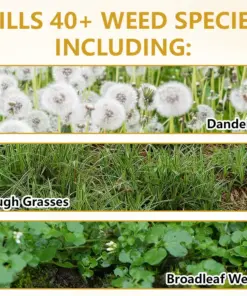 Timilk® Pro Strength 2-in-1 Herbicide: Fast Acting Results on Glyphosate-Resistant Weeds