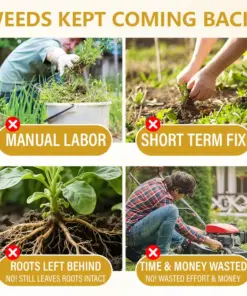 Timilk® Pro Strength 2-in-1 Herbicide: Fast Acting Results on Glyphosate-Resistant Weeds