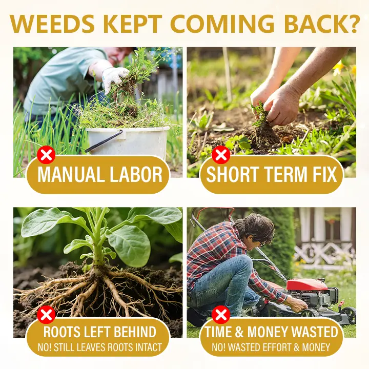 Timilk® Pro Strength 2-in-1 Herbicide: Fast Acting Results on Glyphosate-Resistant Weeds