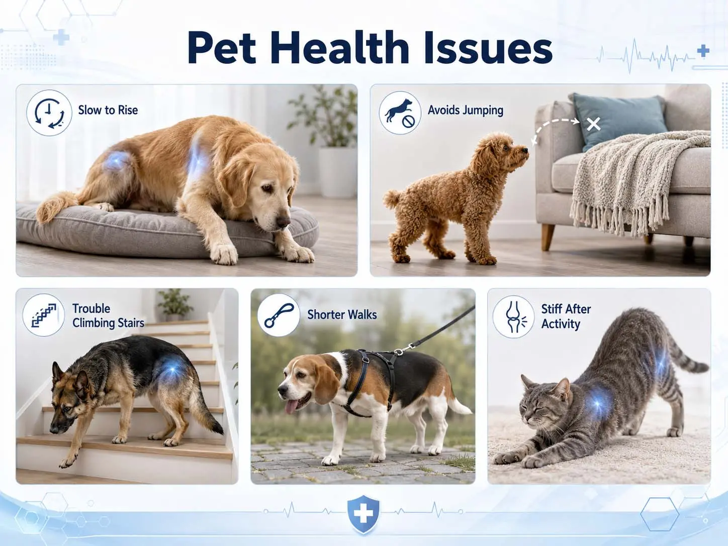 Timilk® FlexiPaws— Comfort & Mobility Drops