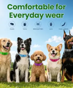 Timilk® Petlavo 12-Month Flea & Tick Collar